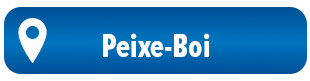 botão PEIXE-BOI