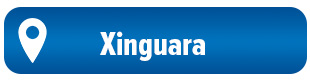 botão XINGUARA